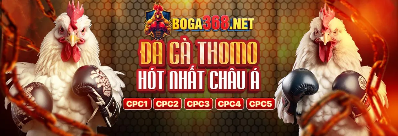 Liên hệ vuabet88 casino để được hỗ trợ